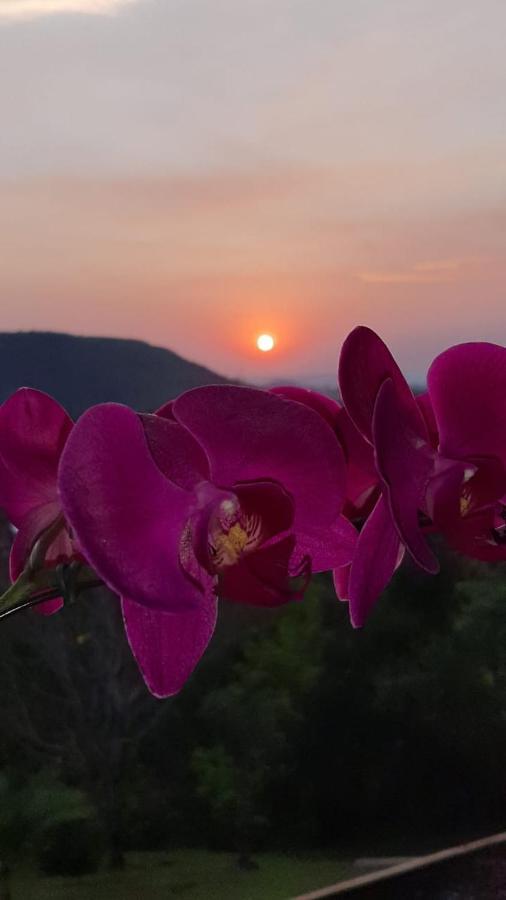 Pousada Flor De Lotus Dos Canyons Praia Grande  Εξωτερικό φωτογραφία